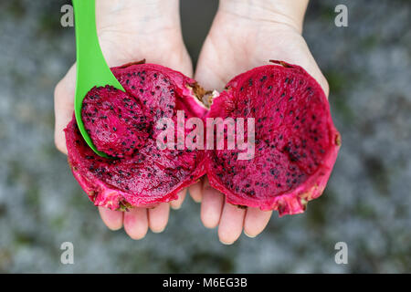 Cut dragon fruit in child hands, malaysia Stock Photo