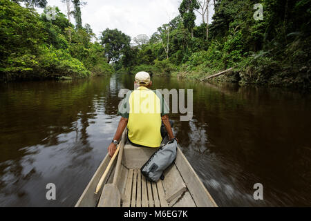 Old man in traditional wooden boat on the river in the oldest rainforest in the world, rear view, Taman Negara, Malaysia Stock Photo