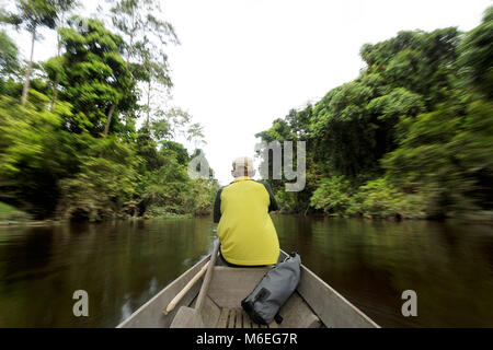 Old man in traditional wooden boat on the river in the oldest rainforest in the world, rear view, Taman Negara, Malaysia Stock Photo