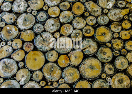 rustic wood tile mosaic pattern, natural wood texture backsplash, bar decor wooden tiles Stock Photo