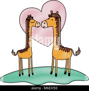 giraffes couple over grass in colored crayon silhouette on white background with heart Stock Vector