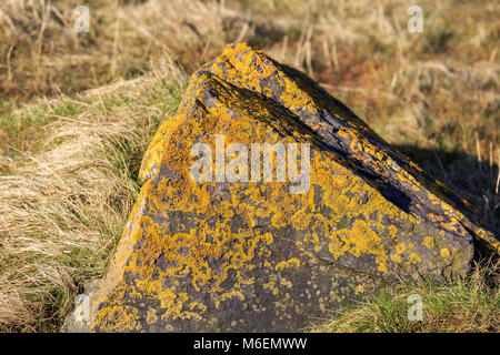 Sunlit Scottish rocks covered with Orange Lichen Stock Photo