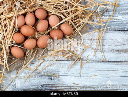 Overhead view of natural brown raw eggs resting on straw and burlap with white rustic wood Stock Photo