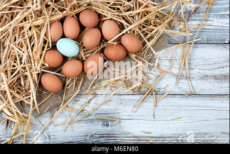 Overhead view of single blue egg with natural brown raw eggs resting on straw and burlap with white rustic wood Stock Photo