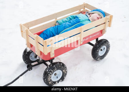 Eighteen month old baby boy sleeping in a hand wagon in the snow, Medstead, Alton, Hampshire, England, United Kingdom. Stock Photo
