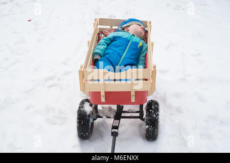Eighteen month old baby boy sleeping in a hand wagon in the snow, Medstead, Alton, Hampshire, England, United Kingdom. Stock Photo