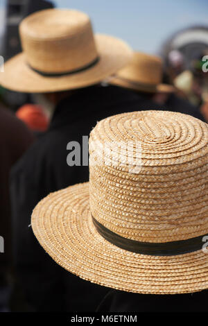 the crowd at a typical Amish festival called a 'mud sale.' Lancaster County, Pennsylvania, USA Stock Photo