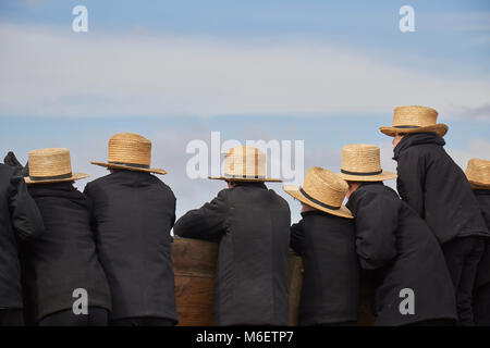 the crowd at a typical Amish festival called a 'mud sale.' Lancaster County, Pennsylvania, USA Stock Photo