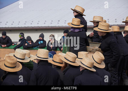 the crowd at a typical Amish festival called a 'mud sale.' Lancaster County, Pennsylvania, USA Stock Photo