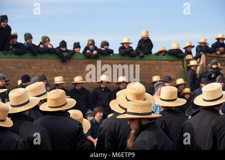 the crowd at a typical Amish festival called a 'mud sale.' Lancaster County, Pennsylvania, USA Stock Photo