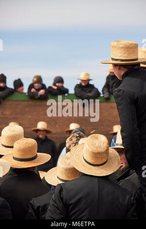 the crowd at a typical Amish festival called a 'mud sale.' Lancaster County, Pennsylvania, USA Stock Photo