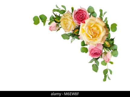 Pink and yellow rose flowers with eucalyptus leaves in a corner arrangement isolated on white background. Flat lay. Top view. Stock Photo