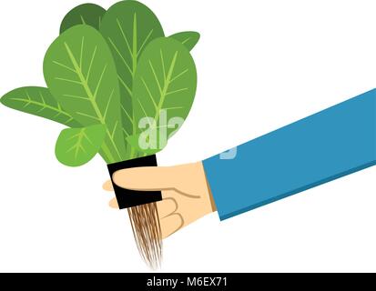 Farmer show hydroponics vegetable on white, vector art Stock Vector