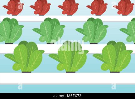 Hydroponics plants farm in flat vector art cartoon Stock Vector