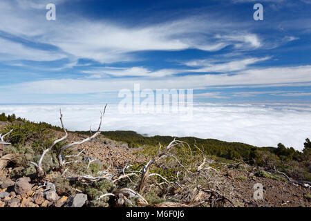 View from halfway to the Pico de la Nieve in La Palma, Spain down to the cloud layer. Stock Photo