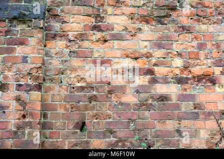 Brick wall with bullet holes Stock Photo: 128469801 - Alamy