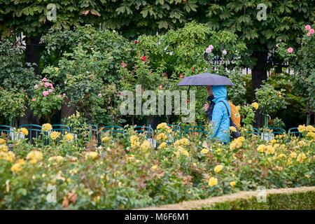 Tourists under colourful umbrellas on a rainy summer day in the Volksgarten Vienna Stock Photo