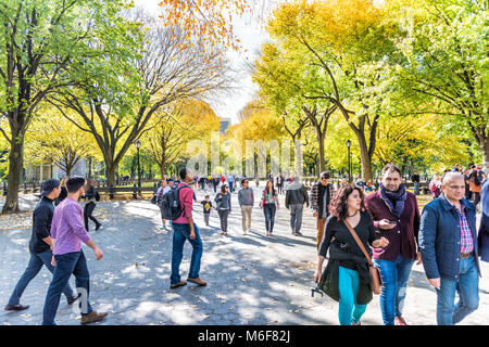New York City, USA - October 28, 2017: Manhattan NYC Central park with people walking on street alley, benches in autumn fall season with yellow vibra Stock Photo
