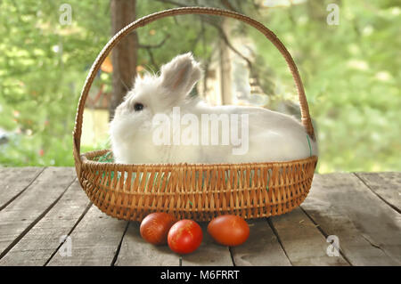 White bunny in wooden basket with three red Easter eggs in front, on old wooden table Stock Photo