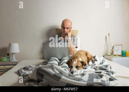 Male person sits with laptop in bed with sleeping dog. Young man works late with computer to meet deadline alone in bedroom with staffordshire terrier Stock Photo