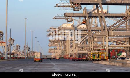 ROTTERDAM, JUL 9, 2013: Automated Guided Vehicles moving shipping containers to and from gantry cranes in a port container terminal. Stock Photo