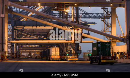 ROTTERDAM - SEP 6, 2013: Automated Guided Vehicles moving shipping containers to and from gantry cranes in a container terminal in the Port of Rotterd Stock Photo