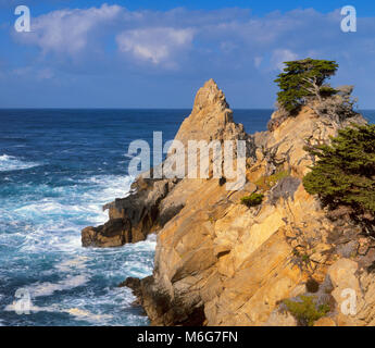 The Pinnacle, Point Lobos State Reserve, Big Sur, Monterey County, California Stock Photo