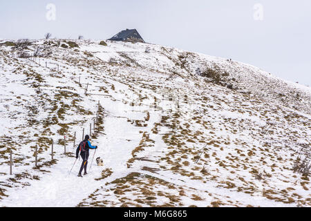 Hiker with his dog climbing on a snowy hiking trail to the Hohneck summit in winter, Hohneck, Vosges, France. Stock Photo