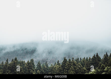 JEJU ISLAND, SOUTH KOREA - AUGUST 19, 2015: View on Hallasan mountain covered by thick fog at the Jeju Island - South Korea Stock Photo