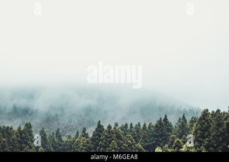 View on Hallasan mountain covered by thick fog at the Jeju Island - South Korea Stock Photo