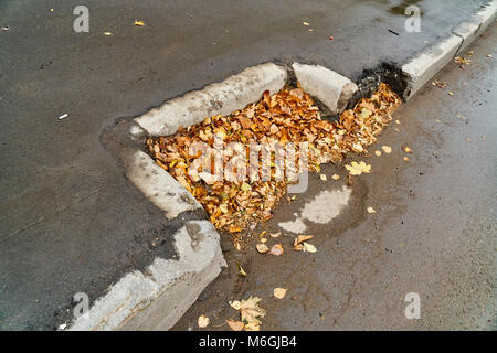 Dry autumn leaves pile atop a storm drain grate on asphalt road with a paving stone Stock Photo