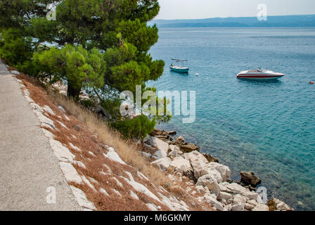 Beautiful pine growing on the rocky shore of the Adriatic Sea. Omis, Dalmatia, Croatia Stock Photo