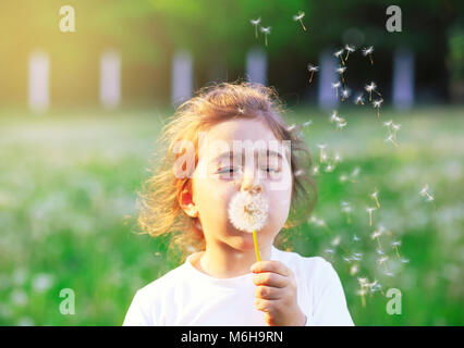 Beautiful little Girl blowing dandelion flower in sunny summer park. Happy cute kid having fun outdoors at sunset. Stock Photo