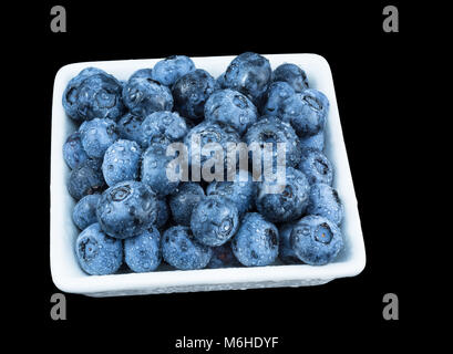 Decorative blueberries with droplets of water. Delicious juicy sweet bilberries in white squered bowl. Isolated on black bacground.