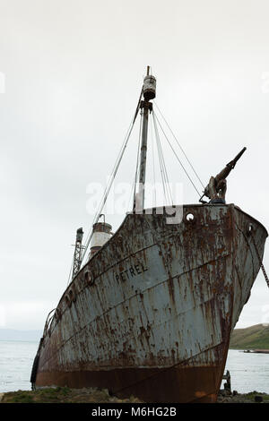 An old, rusted whaling boat no longer in use on the shore at Grytviken, South Georgia. Fog, a hillside and the bay are in the background. Stock Photo