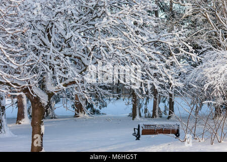 Pinafore Park in St. Thomas, Ontario, Canada is blanked with a fresh snow fall after Mother Nature brought a late winter storm to Southwestern Ontario. Stock Photo