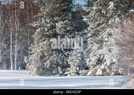 Pinafore Park in St. Thomas, Ontario, Canada is blanked with a fresh snow fall after Mother Nature brought a late winter storm to Southwestern Ontario. Stock Photo