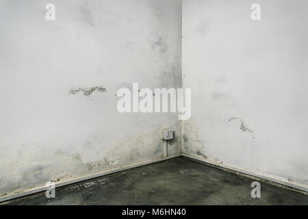 Grungy room corner with concrete floor and white walls damaged by damp Stock Photo