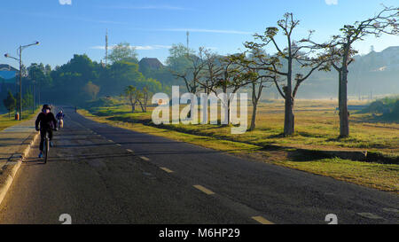 Vietnamese Woman ride bicycle at Da Lat city in early morning, cycling on sport bike for healthy lifestyle, beautiful landscape with row of tree Stock Photo