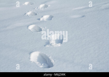 walking footprints in snow Stock Photo