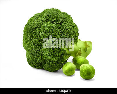 Broccoli Isolated photo Fresh head of broccoli and three fruits of brussels sprouts isolated on white background Close-up photo Stock Photo