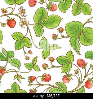 strawberry plant vector pattern on white background Stock Vector
