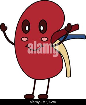 cartoon happy human kidney smiling character Stock Vector Art ...