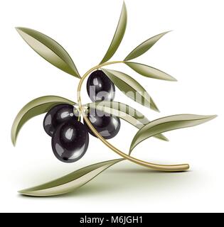 Transparent Black olives branch on a branch, eps is editable, place over any backkground Stock Vector