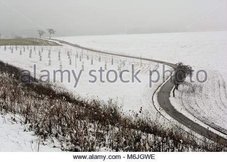 German winter conditions on a snow-covered slope in Franconia Stock Photo