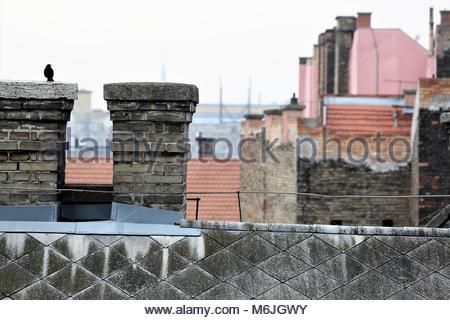 A lone bird on a chimney in Budapest shortly after dawn on a winter's day. Stock Photo