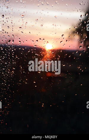 Raindrops on the window Stock Photo