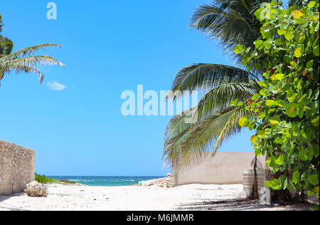 Keeping the beach clean - Two picked up bags of trash on road to the Gulf of Mexico with walls on both sides and palm tree and sea grapes on one side- Stock Photo