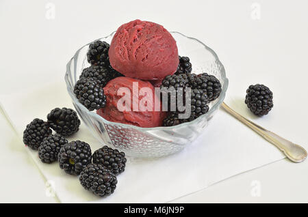 Blackberry Sorbet with Blackberries in a Bowl on white Background, close up, full frame Stock Photo
