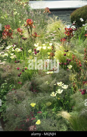 Summer colour from the show gardens at the RHS Chelsea Flower Show, May 2017 Stock Photo